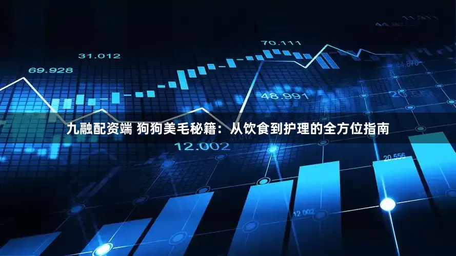 九融配资端 狗狗美毛秘籍：从饮食到护理的全方位指南