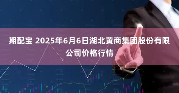 期配宝 2025年6月6日湖北黄商集团股份有限公司价格行情